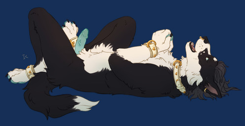 ankle_cuffs anthro barbell_piercing bdsm black_body black_fur blue_eyes blue_pawpads blue_penis bondage bound butt_tuft chest_tuft circular_barbell_piercing collar cuff_(restraint) cuffs_(object) dipstick_tail eager ear_piercing ear_ring facial_piercing fur genitals grey_hair hair lying male markings nose_piercing nose_ring on_back pawpads penis piercing playful pubes restraints ring_piercing septum_circular_barbell septum_piercing simple_background smile solo tail tail_markings transparent_background tuft white_body white_fur white_tail_tip interkos border_collie canid canine canis collie domestic_dog herding_dog mammal pastoral_dog sheepdog 2020 alpha_channel