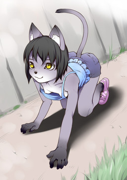 all_fours anthro black_hair bottomwear breasts clothing countershading down_blouse female footwear furgonomics grass hair loli nipples outside plant pupils shoes short_hair shorts slit_pupils small_breasts sneakers solo unsigned yellow_eyes young young_anthro j7w rorikemo_(j7w) domestic_cat felid feline felis mammal 2017