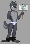 anthro black_bottomwear black_clothing black_nose black_pants blep blue_briefs blue_clothing blue_eyes blue_underwear bottomwear bottomwear_down briefs clothed clothing fur grey_body grey_ears grey_fur grey_tail hand_behind_back holding_object holding_sign male multicolored_clothing multicolored_underwear pants pants_down partially_clothed pink_tongue sign solo sweatpants tail teeth_showing text tongue tongue_out topless two_tone_briefs two_tone_clothing two_tone_underwear underwear white_briefs white_clothing white_underwear sebtheredpanda zach_the_wolf canid canine canis mammal wolf english_text hi_res