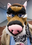 anthro beanie blue_eyes character_badge_(object) clothing costume eyewear fursuit glasses hallway hat headgear headwear looking_at_viewer male plaid real scarf solo whiskers unknown_artist bailey_(scardykat85) mammal murid murine rat rodent grandfathered_content photography_(artwork)