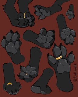 4_toes ambiguous_anthro ambiguous_gender anthro black_body black_claws black_fur black_toe_claws claws curling_toes digit_ring digitigrade disembodied_foot feet feet_together foot_focus foot_shot fur glistening glistening_pawpads gold_(metal) gold_jewelry gold_ring gold_toe_ring grey_pawpads hindpaw jewelry pawpads paws presenting red_background ring simple_background solo spread_toes toe_claws toe_ring toes carifoxleopard canid mammal 4:5 hi_res signature