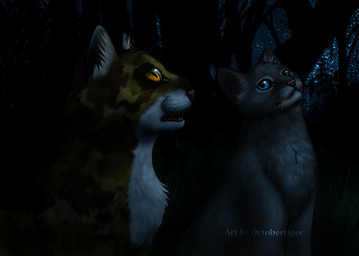 ambiguous_gender blue_eyes dark detailed_background duo eye_patch_(marking) facial_markings feral fur grey_body grey_fur head_markings markings night open_mouth orange_eyes outside patch_(marking) plant sky star starry_sky tree white_body white_fur wood yellow_eyes octobertiger warriors_(book_series) bluestar_(warriors) spottedleaf_(warriors) domestic_cat felid feline felis mammal tortoiseshell_cat 2011 digital_media_(artwork) digital_painting_(artwork) painting_(artwork) shaded soft_shading female_(lore)