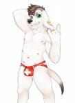 4_fingers anthro brown_hair bulge clothing ear_piercing facial_piercing fingers fur green_eyes grin hair jockstrap male multi_nipple navel nipples nose_piercing nose_ring piercing ring_piercing simple_background smile solo standing underwear white_body white_fur bastionshadowpaw chris_(bastionshadowpaw) canid canine canis domestic_dog mammal absurd_res hi_res