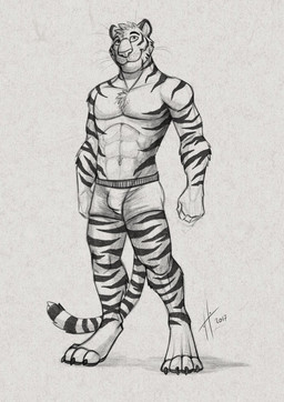 anthro athletic athletic_anthro athletic_male bulge claws closed_smile clothed clothing front_view head_tuft male male_anthro markings mouth_closed navel smile solo standing striped_arms striped_legs striped_markings striped_tail stripes tail tail_markings toe_claws topless tuft whiskers hufnaar felid mammal pantherine tiger 2017 dated full-length_portrait hi_res monochrome portrait sketch