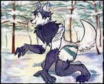 exclusive simulated_traditional_(artwork) solo transformation winter wood kiri-anko mythology canid canine canis mammal mythological_canine mythological_creature werecanid werecanine werecreature werewolf wolf digital_media_(artwork) digital_painting_(artwork) digital_watercolor_(artwork) rebelle_(artwork)