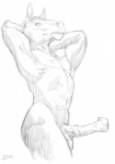 2015 abs anatomically_correct anatomically_correct_genitalia anatomically_correct_penis animal_genitalia animal_penis anthro balls biceps big_flare biped black_and_white butt equid equine equine_genitalia equine_penis erection flared_penis genitals hands_behind_head horse male mammal medial_ring monochrome muscular muscular_anthro muscular_male nipples nude pecs penis portrait side_view signature simple_background sketch snout solo standing stretching three-quarter_portrait traditional_media_(artwork) trogan white_background