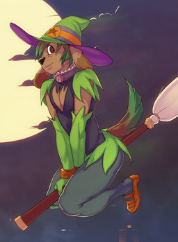 anthro biped black_nose broom broom_riding brown_eyes cleaning_tool clothed clothing cloud collar costume crossdressing femboy flying footwear freckles green_hair hair hat headgear headwear holidays legwear looking_at_viewer magic_user male moon occult_symbol orange_clothing orange_footwear pentacle pentagram pose riding shoes solo star stockings straddling symbol witch witch_hat doxy halloween marty_(onta) canid canine canis domestic_dog mammal digital_media_(artwork) full-length_portrait hi_res pinup portrait