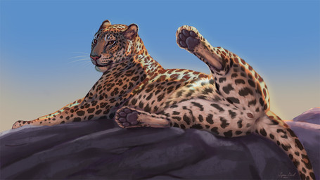 anatomically_correct anatomically_correct_genitalia anatomically_correct_vulva animal_genitalia animal_vulva anus detailed_background feet feline_genitalia feline_vulva female female_feral feral fur genitals hindpaw looking_at_viewer lying markings on_side one_leg_up outside pawpads paws presenting presenting_vulva raised_leg realistic rock soles solo spots spotted_body spotted_fur spread_legs spreading tail tail_anus tan_body tan_fur toes vulva whiskers reallynxgirl felid leopard mammal pantherine 16:9 2022 widescreen