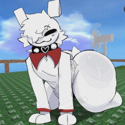 all_fours anthro big_butt black_blush black_eyes black_mouth blush bottom_heavy butt cheek_tuft clothed clothing collar eyebrow_through_hair eyebrows facial_tuft femboy hair long_sleeve_shirt long_sleeves male paws round_head scut_tail shirt short_tail smile smug solo spiked_collar spikes tail thick_thighs topwear translucent translucent_hair tuft white_body white_clothing white_ears white_hair white_shirt white_topwear wide_hips guhg_kemonowo roblox gubby_(roblox) gubby_(species) 1:1