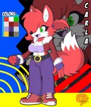 anthro belt bottomwear bra breasts clothing coat female footwear green_eyes pants shoes sneakers solo topwear tuft underwear shiberinu sega sonic_the_hedgehog_(series) carla_the_fox_(shiberinu) fan_character canid canine fox mammal hi_res model_sheet