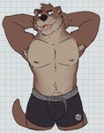 anthro armpit_hair belly biped black_nose blue_eyes body_hair boxers_(clothing) boxers_only brown_body brown_eyebrows brown_fur bulge checkered checkered_background clothed clothing ear_piercing eyebrows fur hands_behind_head happy_trail male male_anthro multicolored_body musclegut muscular navel nipples partially_clothed partially_clothed_male pattern_background piercing pink_nipples simple_background slightly_chubby solo standing tan_body tan_fur topless underwear underwear_only whiskers white_background white_inner_ear white_sclera unsafescapewolf echo_(game) echo_(series) echo_project sydney_bronson mammal mustelid otter 2024 digital_drawing_(artwork) digital_media_(artwork) hi_res portrait three-quarter_portrait