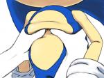 anthro belly belly_grab belly_squish blue_body blue_fur chest_grope clothing disembodied_hand duo fur gloves handwear male simple_background skin_folds solo_focus squish white_background kalk427 sega sonic_the_hedgehog_(series) sonic_the_hedgehog eulipotyphlan hedgehog mammal 4:3