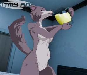 anthro beverage container cup drinking early_pregnancy female juice juice_(beverage) nude orange_juice pitcher pregnant pregnant_anthro pregnant_female tail thirsty itmy09 beastars juno_(beastars) canid canine canis mammal wolf 3d_(artwork) digital_media_(artwork)