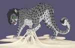 4_toes captured caught_in_the_act distressed fangs feet feral glue glue_trap hindpaw male pawpads paws sabertooth_(anatomy) solo spread_toes struggling stuck_feet teeth toes underpaw rednight snowy_cheetah cheetah felid feline hybrid mammal pantherine snow_leopard