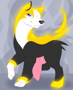 animal_genitalia animal_penis balls big_penis black_body black_fur black_nose canine_genitalia canine_penis claws digitigrade feral fur genitals knot looking_at_viewer male penis solo standing thin_tail toe_claws yellow_body yellow_fur camychan nintendo pokemon boltund canid generation_8_pokemon mammal pokemon_(species) hi_res