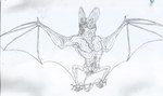 anatomically_correct anatomically_correct_genitalia anatomically_correct_penis animal_genitalia animal_penis anus balls bat_ears bat_nose bat_wings blindfold chiropteran_penis erection feral genitals male membrane_(anatomy) membranous_wings neck_tuft open_mouth penis restraints solo spread_wings spreader_bar tail teeth tuft wings eyegis-garr bat ghost_bat mammal megadermitid microbat line_art traditional_media_(artwork) unfinished