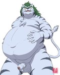 anthro balls belly blue_body blue_fur fur genitals green_hair hair humanoid_hands kemono male moobs navel overweight overweight_anthro overweight_male penis simple_background solo white_background gontadanuki yu_yu_hakusho byakko_(yu_yu_hakusho) felid mammal pantherine tiger 2021 censored hi_res mosaic_censorship