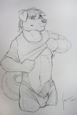 animal_genitalia animal_penis anthro bottomwear bulge canine_genitalia canine_penis clothed clothing clothing_lift dreadlocks erection front_view genitals glistening glistening_eyes knot looking_at_viewer male male_anthro mouth_closed navel pants penis penis_poking_out presenting presenting_penis shirt shirt_lift slim_anthro slim_male solo topwear hufnaar canid canine mammal 2015 dated hi_res monochrome signature traditional_media_(artwork)