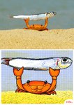 ambiguous_gender carrying_another duo eyestalks feral fin orange_body pincers reference_image tail tail_fin keke_(artist) arthropod crab crustacean decapoda fish malacostracan marine animated digital_media_(artwork) flipnote_studio_3d_(artwork) hi_res redraw short_playtime