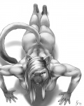 anthro biceps big_muscles breasts butt casual_nudity exercise female fur hair hanging_breasts long_hair long_tail looking_at_viewer muscular muscular_anthro muscular_female nude nude_workout push-up simple_background solo stare tail workout kinojaggernov sasha_(trigger12) domestic_cat felid feline felis mammal siamese 2014 4:5 monochrome