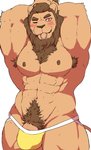 abs accessory anthro armpit_hair blush bodily_fluids body_hair brown_body brown_eyes brown_fur brown_hair brown_mane clothed clothing fur genitals hair hair_accessory hair_tie jockstrap male mane mouth_hold muscular muscular_anthro muscular_male navel nipples object_in_mouth one_eye_closed pecs penis penis_base pubes simple_background solo sweat topless tying_hair underwear white_background yellow_clothing yellow_underwear yoshizaurusu_n felid lion mammal pantherine