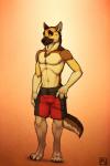 abs anthro canid canine canis chest_tuft clothed clothing domestic_dog fur german_shepherd herding_dog hi_res male mammal pastoral_dog pecs solo spudz topless tsaiwolf tuft