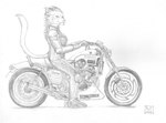 anthro female motorcycle solo vehicle hellkat n2o guild_wars yamaha charr felid mammal monochrome