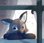 anthro crossed_arms head_in_arms looking_outside looking_through looking_through_window male raining sad sigh solo thinking window b-epon kito_(thepickyfurry) canid canine fox mammal absurd_res cool_colors digital_media_(artwork) hi_res