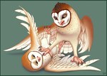 brown_body brown_feathers duo feathers feet feral fight green_background male simple_background talons toes white_body white_feathers yellow_eyes rcahern guardians_of_ga'hoole kludd soren_(gogh) avian barn_owl bird owl tyto tytonid brother_(lore) brothers_(lore) sibling_(lore)