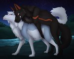 amber_eyes belly big_belly black_body black_fur blue_body blue_eyes blue_fur duo female female_penetrated feral feral_on_feral feral_penetrated feral_penetrating feral_penetrating_feral fur grey_body grey_fur looking_pleasured male male/female male_penetrating male_penetrating_female nipples orange_body orange_fur outside penetration pregnant pregnant_female pregnant_feral pregnant_sex raised_tail sex tail tongue tongue_out vaginal vaginal_penetration white_body white_fur barndog barndog_(barndog) kael_(beleynn) canid canine canis mammal wolf hi_res