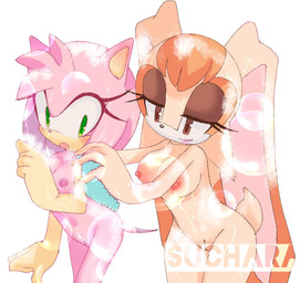 age_difference anthro bathing blush breasts brown_body brown_eyes brown_fur duo female female/female female_anthro fur genitals green_eyes head_tuft mature_anthro mature_female older_anthro older_female pink_body pink_fur sponge suds thick_thighs thin_thighs tuft vulva wide_hips younger_anthro younger_female suchara0 sega sonic_the_hedgehog_(series) amy_rose vanilla_the_rabbit eulipotyphlan hedgehog lagomorph leporid mammal rabbit hi_res