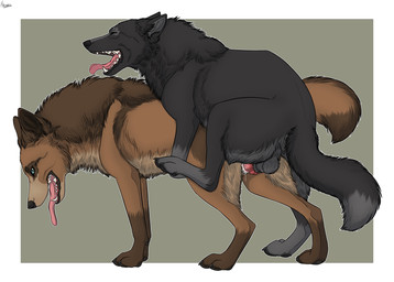 all_fours anatomically_correct animal_genitalia animal_penis animal_vulva anus backsack balls blue_eyes bodily_fluids brown_body brown_fur butt canine_genitalia canine_penis canine_vulva doggystyle duo erection eyes_closed female female_penetrated feral feral_on_feral from_behind_position fur genital_fluids genitals gradient_background grey_background grey_balls grey_body grey_fur knot larger_female larger_penetrated leg_markings male male/female male_penetrating male_penetrating_female markings mounting multicolored_body multicolored_fur one_leg_up penetration penile penile_penetration penis penis_in_vagina raised_leg rounded_back sex side_view simple_background size_difference smaller_male socks_(marking) tongue tongue_out vaginal vaginal_fluids vaginal_penetration vulva hybernation dirty_paws_(character) malwolf canid canine canis mammal wolf