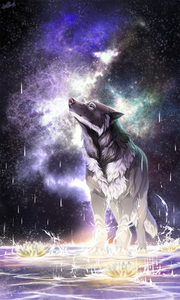 4_toes ambiguous_gender black_body black_fur brown_nose detailed_background feet feral fur night outside paws raining sky solo star starry_sky toes white_body white_fur wolfroad canid canine canis mammal wolf 3:5 hi_res