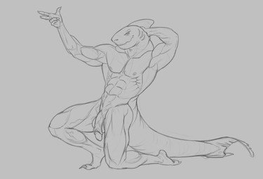 abs anthro earless empty_eyes fin flaccid foreskin genitals gills hand_behind_head head_fin humanoid_genitalia humanoid_penis kneeling male male_anthro mouth_closed muscular muscular_anthro muscular_male nipples nude pecs penis pose simple_background solo tail tail_fin thick_tail vein veiny_penis aduran aquatic fish shark hi_res monochrome sketch