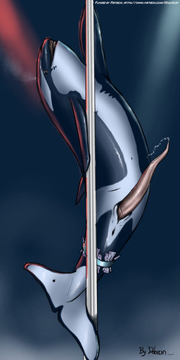 animal_genitalia animal_penis anus bodily_fluids cetacean_genitalia cetacean_penis cum dancing erection feral genital_fluids genital_slit genitals long_penis male money nude open_mouth penis pole pole_dancing precum solo stripper tapering_penis dolorcin aquatic cetacean dolphin mammal oceanic_dolphin orca toothed_whale 1:2 hi_res