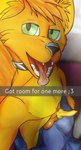 anthro balls collar collar_only duo erection fur genitals green_eyes male male/male nude open_mouth orange_body orange_fur penis selfie smile text tongue tongue_out godofnothing carrotwolf gon canid canine canis fish mammal marine shark wolf english_text