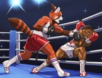 anthro bodily_fluids boots boxing boxing_gloves bra clothed clothing duo female fight fighting_ring footwear fur hair handwear male muscular muscular_male open_mouth saliva saliva_string shoes sport sports_bra tail underwear dcheese ailurid human mammal red_panda 2024 absurd_res digital_media_(artwork) hi_res