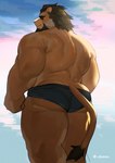 anthro back_muscles butt clothed clothing eyewear looking_back male mane mature_male muscular muscular_anthro muscular_male smile solo speedo standing sunglasses swimwear three-quarter_view topless topless_anthro topless_male triceps doooo2424 lifewonders tokyo_afterschool_summoners arsalan_(tas) felid lion mammal pantherine dawn_(disambiguation) hi_res portrait three-quarter_portrait