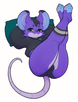 anthro buckteeth bulge butt clothing ear_piercing lying male on_back pawpads paws piercing presenting presenting_hindquarters shirt solo teeth thick_thighs topwear underwear mediocre_peach kavii mammal mouse murid murine rodent absurd_res hi_res