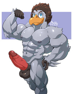 abs animal_genitalia anthro balls beak darkened_balls darkened_genitalia erection feathers flexing genitals grey_body grey_feathers hand_on_hip humanoid_genitalia humanoid_penis hybrid_genitalia hybrid_penis looking_at_viewer male muscular muscular_anthro muscular_male nipples nude pecs penis pink_penis sheath sheathed_humanoid_penis solo tail tail_feathers maldu accipitrid accipitriform avian bird hi_res source_request