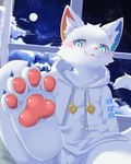 4_toes anthro bent_legs blue_eyes blush bottomless bottomless_male claws clothed clothing fangs featureless_crotch feet fur hoodie legs_up looking_at_viewer male night pawpads paws shirt sitting sky smug soles solo tail teeth text toe_claws toes topwear white_body white_clothing white_fur white_hoodie white_shirt white_topwear window young young_anthro young_male railgun_bunchou domestic_cat felid feline felis mammal hi_res