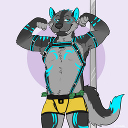 5_fingers anthro black_body black_fur blue_hair blue_markings boxer_briefs chest_tuft clothing crotch_tuft facial_markings fangs fingers flexing fur grey_body grey_fur grin hair harness head_markings inner_ear_fluff male markings money money_in_underwear mouth_closed multicolored_body multicolored_fur muscular muscular_anthro muscular_male pole sharp_teeth simple_background smile smug solo standing stripper_pole teeth tuft underwear yellow_clothing yellow_underwear dogcurl rogue_fang matt_wolf canid canine canis mammal wolf 1:1 2021 absurd_res hi_res