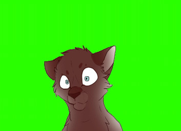 animated_gif green_screen laugh male open_mouth rape_face simple_background solo teeth wind paintdragoness domestic_cat felid feline felis mammal animated low_res short_playtime