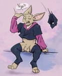 anthro balls bat_ears bottomless bottomless_anthro bottomless_male bottomwear casual_exposure clothed clothing cropped_hoodie foreskin fur genitals hoodie humanoid_genitalia humanoid_penis ineffective_clothing legwear male open_mouth panties penis shirt simple_background sitting solo stockings tan_body tan_fur text topwear underwear starfallhybrid_(artist) meme_clothing paggi_outfit turo_of_akesh bat desert_bat mammal wingless_bat digital_media_(artwork) english_text hi_res meme