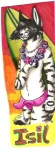anthro biped bottomwear canid canine clothed clothing crossdressing digital_media_(artwork) floral flower flower_garland garland girly hawaii isil isil_(character) lei male mammal name_badge navel plant skirt solo standing surfboard vehicle watercraft