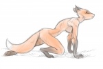 all_fours anthro breasts digitigrade female hanging_breasts looking_back nude solo risovach 2ch_(dvach) nameless_character canid canine fox mammal 3:2