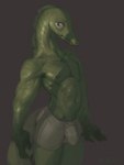 anthro athletic bulge clothed clothing green_body green_scales male muscular muscular_male navel nipples scales shadow simple_background solo tail underwear underwear_only 7b7a2f scalie 3:4 absurd_res hi_res