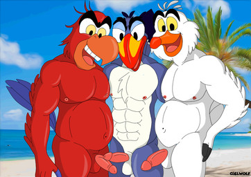 anthro beach beak blue_body blue_feathers erection feathers genitals group group_sex humanoid_genitalia humanoid_penis male male/male musclegut muscular nipples outside penis pink_penis red_body red_feathers sex teeth toothed_beak trio white_body white_feathers ciel-wolf disney disney's_aladdin the_lion_king the_little_mermaid_(1989) iago_(disney) scuttle scuttle_(the_little_mermaid) zazu_(the_lion_king) avian bird bucerotiform gull hornbill lari larid parrot
