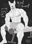 abs anthro biped bodily_fluids dumbbell erection exercise foreskin genital_fluids genitals holding_dumbbell humanoid_genitalia humanoid_penis male muscular muscular_anthro muscular_male pecs penis penis_poking_out penis_through_leghole plantigrade precum precum_on_own_penis sitting solo sweat text unretracted_foreskin veiny_arms weightlifting weights workout tush_(artist) julius_(tush) bull_terrier canid canine canis domestic_dog hunting_dog mammal terrier 2023 absurd_res digital_media_(artwork) english_text greyscale hi_res monochrome