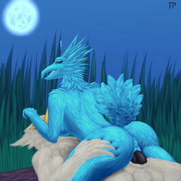 anthro anus balls blue_eyes blush breasts butt duo exclamation_point female female_on_top genitals half-closed_eyes hand_on_butt looking_back male male/female male_on_bottom moon narrowed_eyes night non-mammal_breasts nude on_bottom on_top open_mouth outside penis power_bottom raised_tail sex side_boob straddling surprised tail vaginal testowepiwko league_of_legends riot_games tencent anivia_(lol) azir_(lol) avian 1:1 hi_res